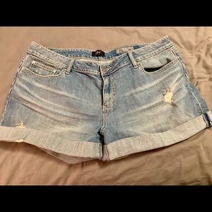 Denim Plus size Jean Shorts